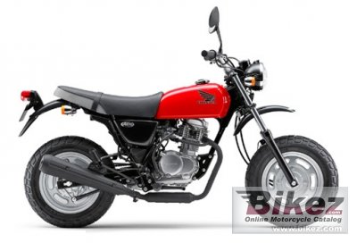 2013 Honda Ape 100 photo